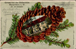 Eppstein (6239) Präge-Karte Gasthaus Zur Oelmühle 1903 I- - Altri & Non Classificati