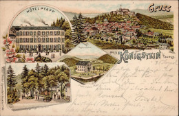 Königstein (6240) Hotel Pfaff Dependance Parkanlage Vorläufer 1896 I- - Otros & Sin Clasificación