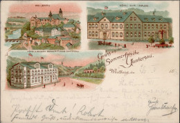 WEILBURG (6290) - Hotel Zur Traube - Sommerfrischen GUNTERSAU Frühes Litho 1896! I - Other & Unclassified