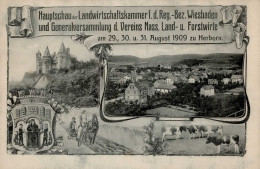 Herborn (6348) Hauptschau Der Landwirtschaftskammer F. D. Regiment-Bezirk Wiesbaden Und Generalversammlung Des Vereins N - Sonstige & Ohne Zuordnung