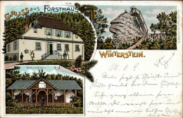 Bad Nauheim (6350) Gasthaus Forsthaus Winterstein 1905 I-II - Other & Unclassified
