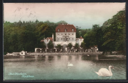 AK Bad Nauheim, Teichhaus Mit Schwänen  - Bad Nauheim