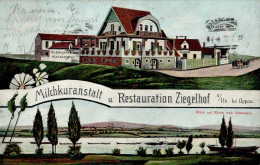 Oppau (6700) Gasthaus Ziegelhof 1912 II (Stauchung, Marke Entfernt) - Autres & Non Classés