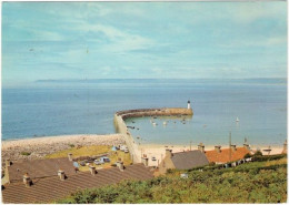 50. Gf. FLAMANVILLE-DIELETTE. Le Port Et Au Loin Les Falaises De Jobourg. 7 - Autres & Non Classés