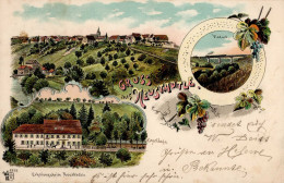 Neustadt (7050) Sanatorium Eisenbahn 1899 II (Stauchung) Chemin De Fer - Other & Unclassified