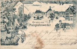 Pfalzgrafenweiler (7293) Apotheke 1902 II (kleine Stauchung) - Altri & Non Classificati