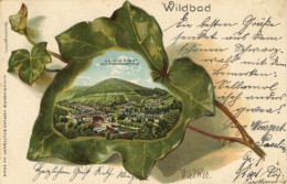 Bad Wildbad (7547) Präge-Karte 1906 I-II - Karlsruhe