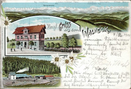 Bonndorf (7823) Gasthaus Zum Waldeck 1900 I- - Autres & Non Classés