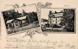 Au (8309) Schloss Schießstätte 1906 I-II - Andere & Zonder Classificatie