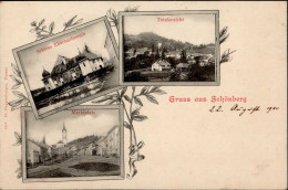 Schönberg (8351) Schloss Eberhartsreuth 1900 I - Andere & Zonder Classificatie