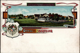 Egerteich (8595) Gasthaus Grillmeier 1909 I-II (fleckig) - Other & Unclassified