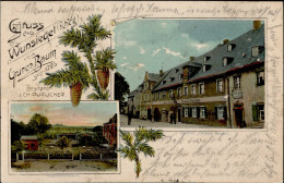 Wunsiedel (8592) Gasthaus Zum Grünen Baum 1906 I- - Wunsiedel