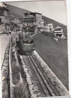 SWITZERLAND-SCHWEIZ-SUISSE-SVIZZERA-LUGANO-MONTE GENEROSO-CARTOLINA VERA PHOTO VIAGGIATA 14-8-1959 - Lugano