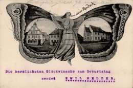 Bad Rodach (8634) Schmetterlings-AK Amtsgericht Rathaus 1907 I-II - Otros & Sin Clasificación