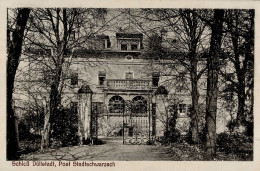 Stadtschwarzach (8711) Schloss Düllstadt II (Eckbug Re. Unten) - Sonstige & Ohne Zuordnung