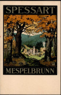 Mespelbrunn (8751) Wildschweine Schloss 1920 I-II - Other & Unclassified