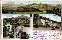 Dreistelz (8781) Gasthaus Wehner 1907 I-II - Autres & Non Classés