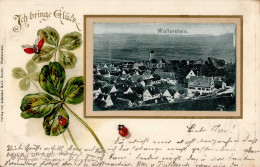 Wallerstein (8862) Präge-Karte 1902 I-II - Otros & Sin Clasificación