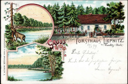 Wandlitz (o-1292) Forsthaus Liepnitz 1899 I-II - Sonstige & Ohne Zuordnung