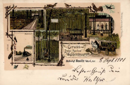 Beelitz (o-1501) Gasthaus Harlos Bahnhof Eisenbahn 1901 I Chemin De Fer - Autres & Non Classés