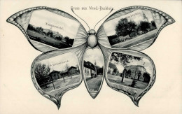 Märkisch-Buchholz (o-1605) Schmetterlings-AK Schützenhaus Gasthaus Zur Post I- - Sonstige & Ohne Zuordnung