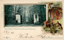 Neustrelitz (o-2080) Portal Des Großherzogl. Tiergartens 1902 II (Marke Entfernt) - Autres & Non Classés