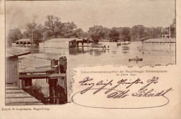 Magdeburg (o-3000) Überschwemmung Des Magdeburgers Schützenplatzes 1897 I-II - Maagdenburg