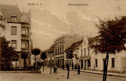 Calbe (o-3310) Bernburgerstrasse 1914 II (RS Kl. Klebereste) - Autres & Non Classés