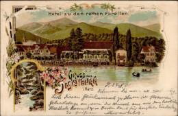 Ilsenburg (o-3705) Hotel Zu Den Rothen Forellen 1901 I- - Autres & Non Classés