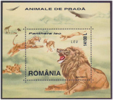 LION Wild Animal, Big Cat, Bird, Lion Cub, Romania MS MNH - Felini