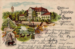 Sondershausen (o-5400) Gruss Vom Jagdschloss 1906 I- Montagnes - Altri & Non Classificati