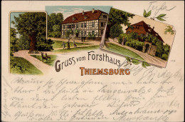 Grumbach (o-5821) Gruss Vom Forsthaus Thiemsburg 1899 I-II Montagnes - Sonstige & Ohne Zuordnung