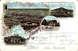 Heldburg (o-6112) Herzögliches Forsthaus Schützenhaus 1900 I-II (Ecken Abgestossen) - Otros & Sin Clasificación