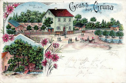 Delcampe - Grüna (o-6501) Gasthaus Zum Grünethal 1899 II (kleine Stauchung) - Autres & Non Classés