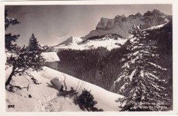 Suisse - Dents Du Midi Vue De MORGINS - Andere & Zonder Classificatie