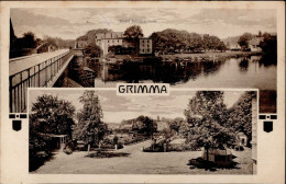 Grimma (o-7240) Hotel Schützenhaus 1921 I- - Sonstige & Ohne Zuordnung