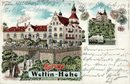 Roßwein (o-7304) Gasthaus Wettin-Höhe Eisenbahn 1902 II (Stauchung) Chemin De Fer - Autres & Non Classés