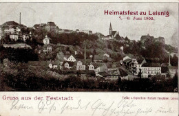 Leisnig (o-7320) Heimatfest 7. Bis 9. Juni 1902 II (Ecken Abgestoßen) - Autres & Non Classés