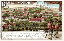Mohorn (o-8211) 1901 I- - Autres & Non Classés