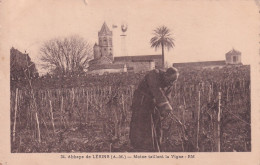 CANNES(SAINT HONORAT) VIGNOBLE(VIN) - Cannes