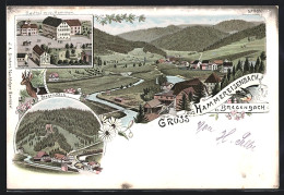 Lithographie Hammereisenbach, Gasthof Zum Hammer, Blick Zum Ort, Bregenbach, Totale Des Ortes, Reh  - Altri & Non Classificati