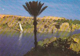 AK 214901 EGYPT - Asswan - View Of The Nile - Aswan