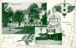Triebel Schützenhaus Schießstand 1914 I-II - Poland