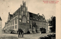 Cammin Domschule II (Stauchung) - Polonia