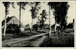 Stargard Moritzfelde Birkenweg I - Polen