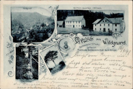 Wildgrund Gasthaus Dittmann 1898 I- - Pologne