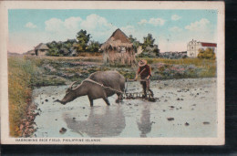 Cpa Harrowing Rice Field, Philippine Islands - Filippijnen