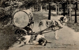 Königsberg Hundewagen 1914 I- - Rusland