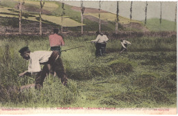Delcampe - ES CAMPRODON - Dallant L'herba - Fauchage De L'herbe - Animée - Belle - Gerona