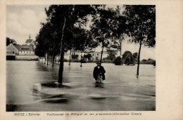 Wiese Hochwasser Im Wittigtal An Der Preussisch-böhmischen Grenze I- - Tchéquie
